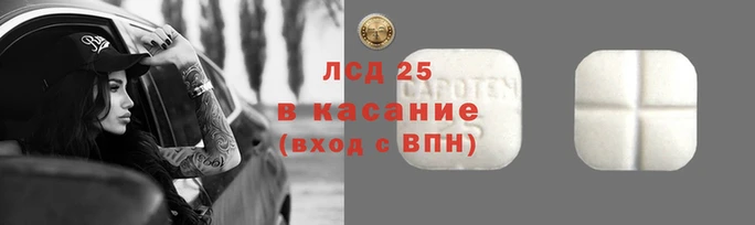 ГАЛЛЮЦИНОГЕННЫЕ ГРИБЫ Алексеевка