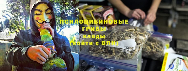 круглые Алзамай