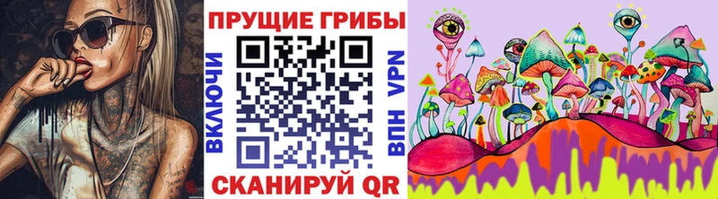 Псилоцибиновые грибы прущие грибы  Майкоп 