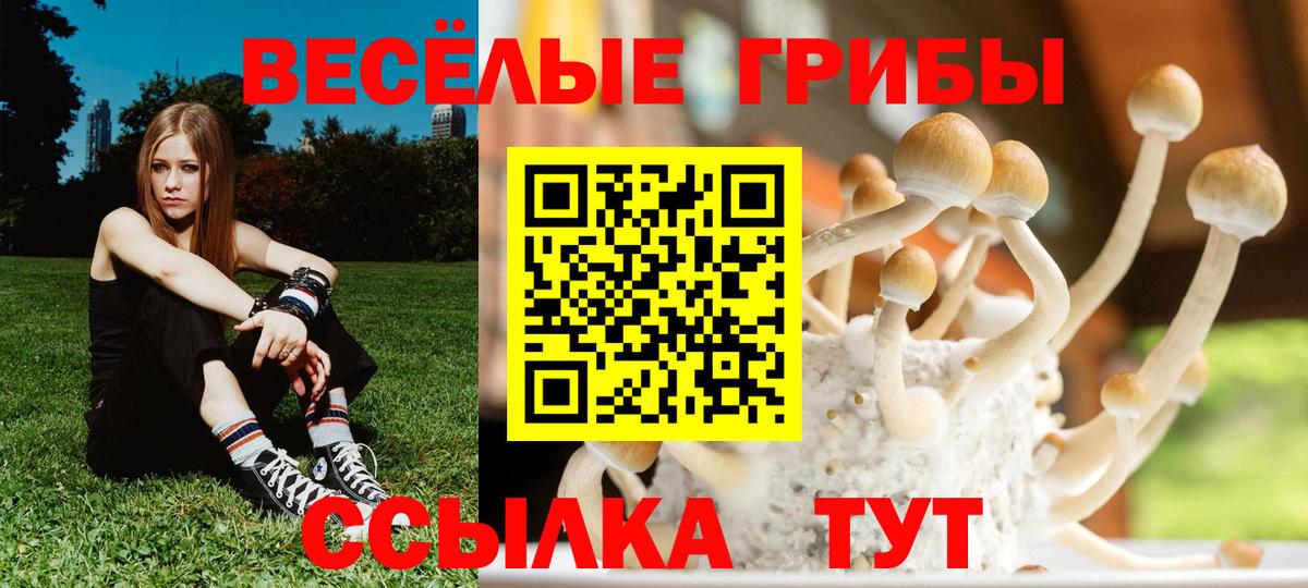 Галлюциногенные грибы Magic Shrooms Майкоп